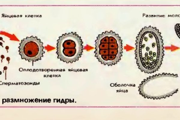 Не заходит на кракен