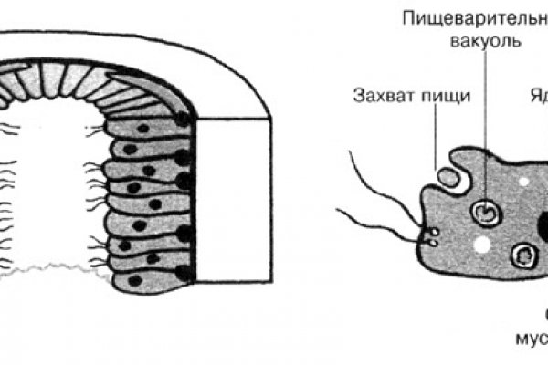 Сайты по продаже наркотиков