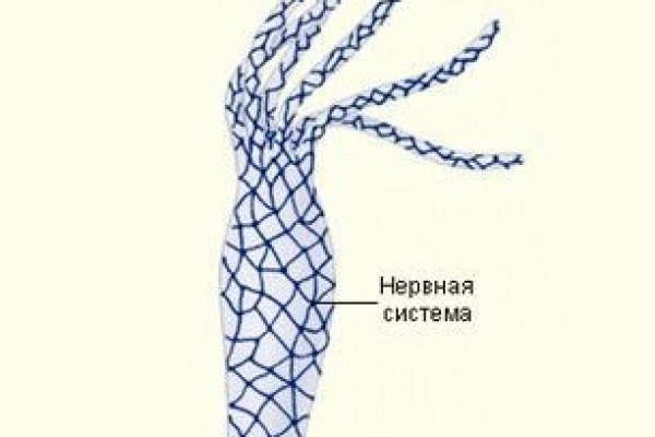 Кракен сайт kraken dark link