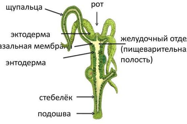 Короткая ссылка на кракен